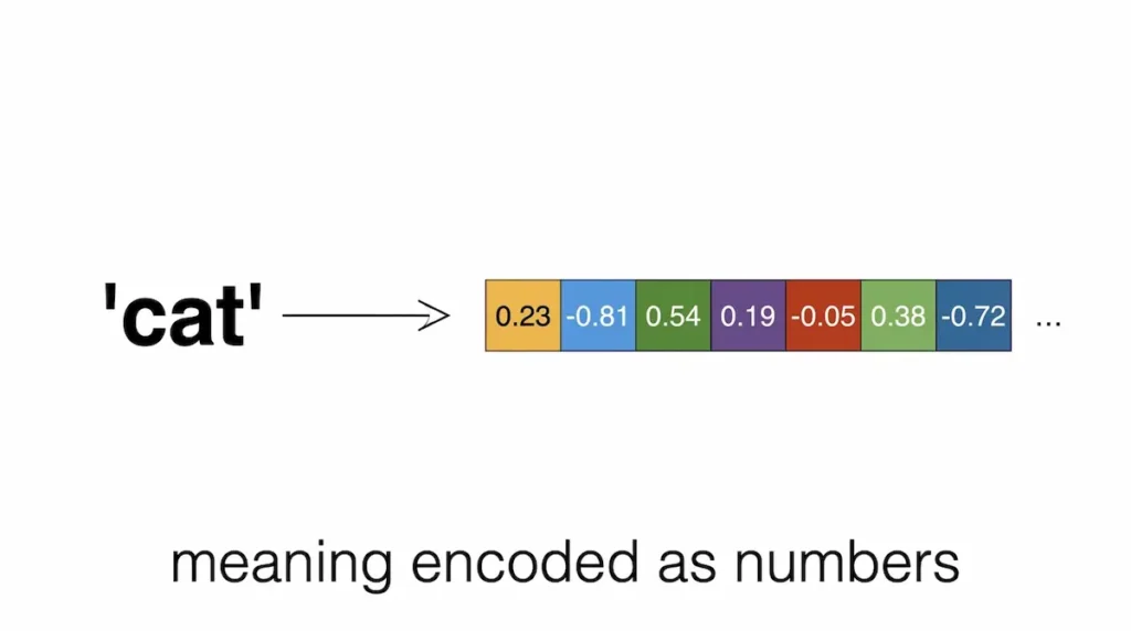 The word “cat” on the left points by an arrow to a row of coloured number blocks on the right, showing meaning encoded as numbers.